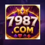 7987 game f